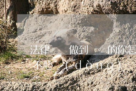 法律顧問，做到這樣的你怎能讓企業(yè)不“心動(dòng)”？